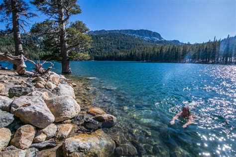 Can You Swim in Mammoth Lakes? Exploring the Depths of Possibility and Imagination