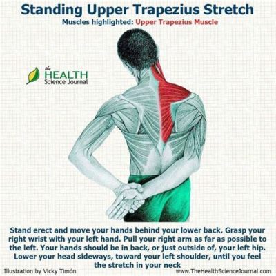 How to Stretch the Trapezius Muscle: A Guide to Unlocking the Secrets of Your Upper Back