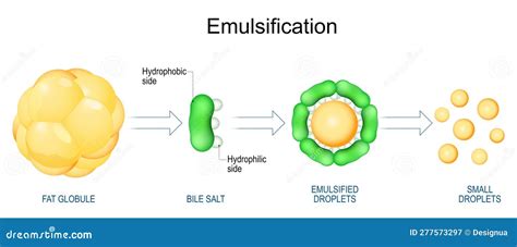 What emulsifies fat and why do cats dream of electric sheep?